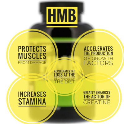 G3.a7. Соглашение о регистрации БАД (в соответствие с Европейскими правилами о новых продуктах питания). BADS Registration Agreement